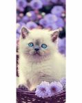 Carbotex Froté osuška 70x140cm Catlover Skladem u nás